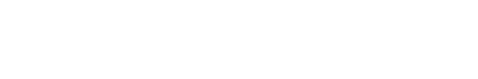 SHUTTLE FLASH